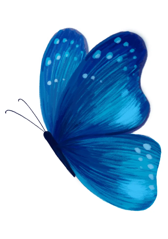 Borboleta Azul Para Imprimir para imprimir e colorir - imagem 7